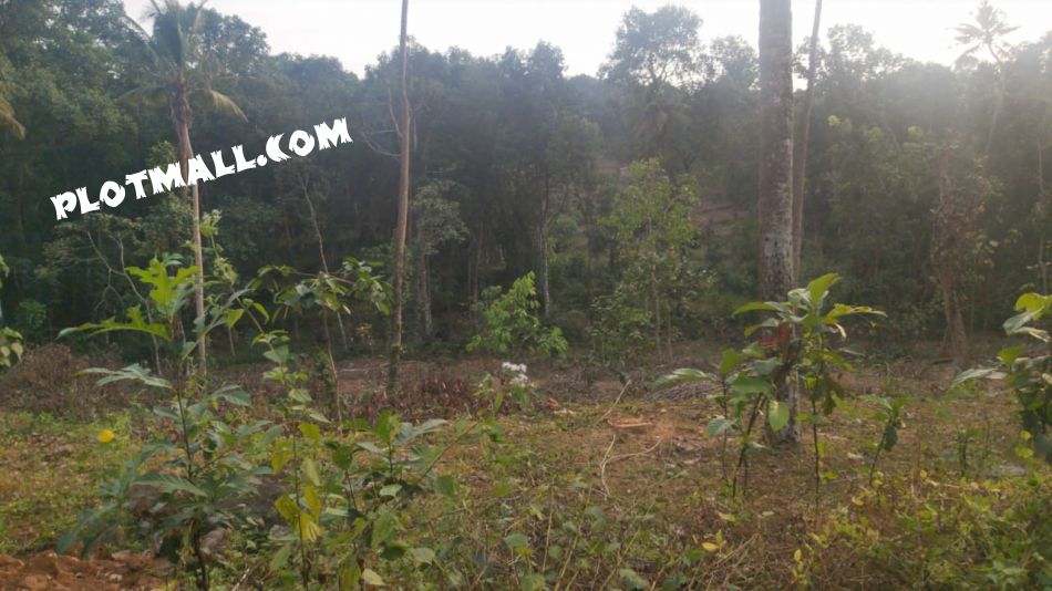 Residential Land For Sale