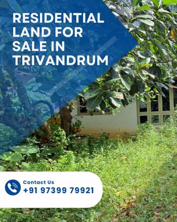8 Cent Residential Land for Sale at Puthussery Budget - 20000000 Total