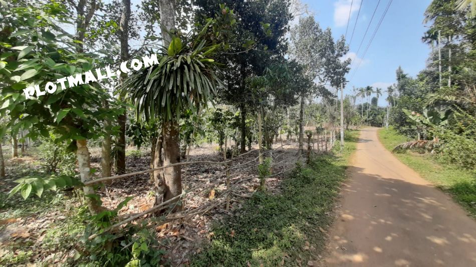 Residential Land For Sale