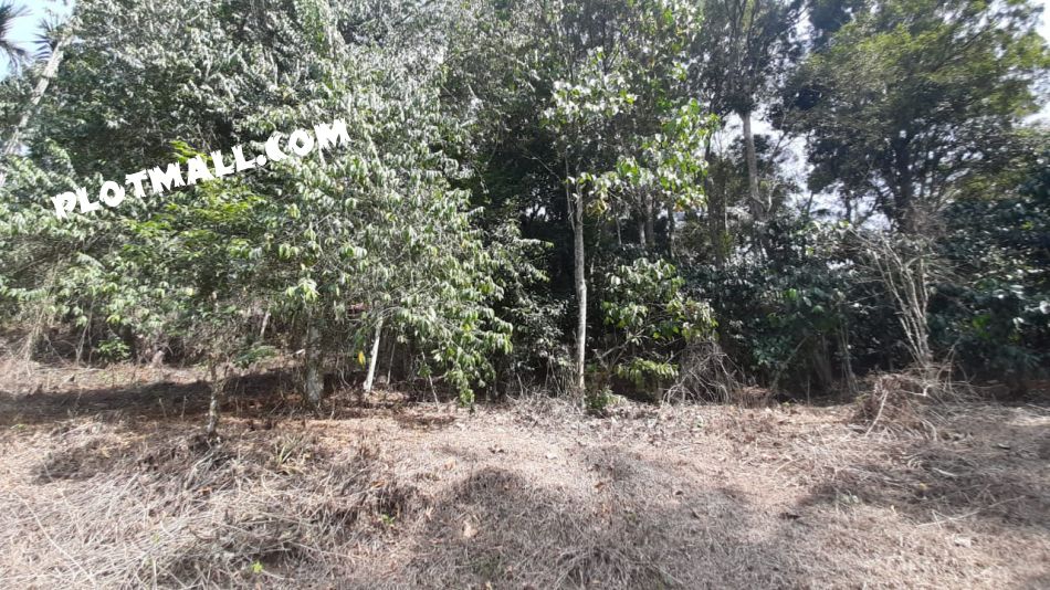 Residential Land For Sale