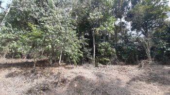 1.8 Acre Residential Land for Sale at Puttad Budget - 80000 Cent