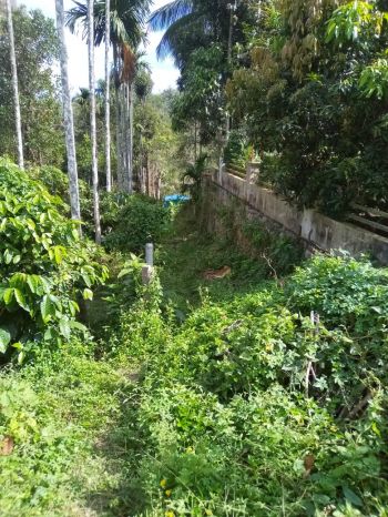 80 Cent Residential Land for Sale at Sulthan Bathery Budget - 80000 Cent