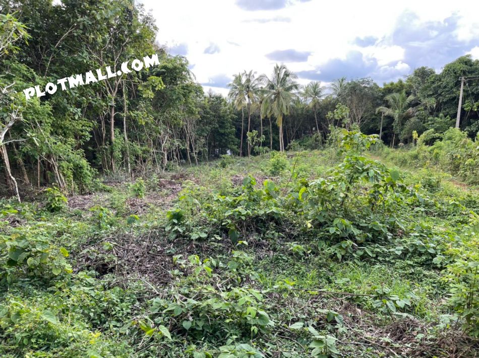 Residential Land For Sale