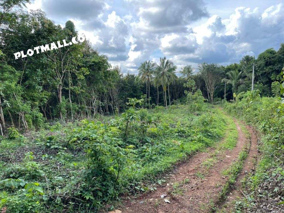 Residential Land For Sale