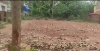 11.5 Cent Residential Land for Sale at Taliparamba Budget - 1200000 Total