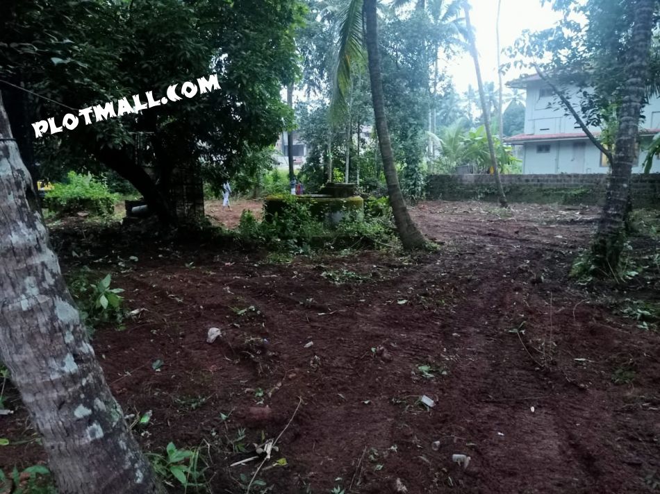 26 Cent Residential Land for Sale at Thalassery Budget - 3000000 Cent