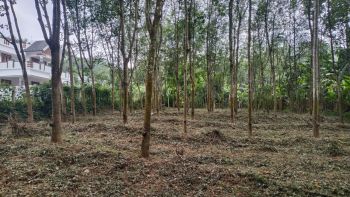 30 Cent Residential Land for Sale at Vaikom Budget - 160000 Cent