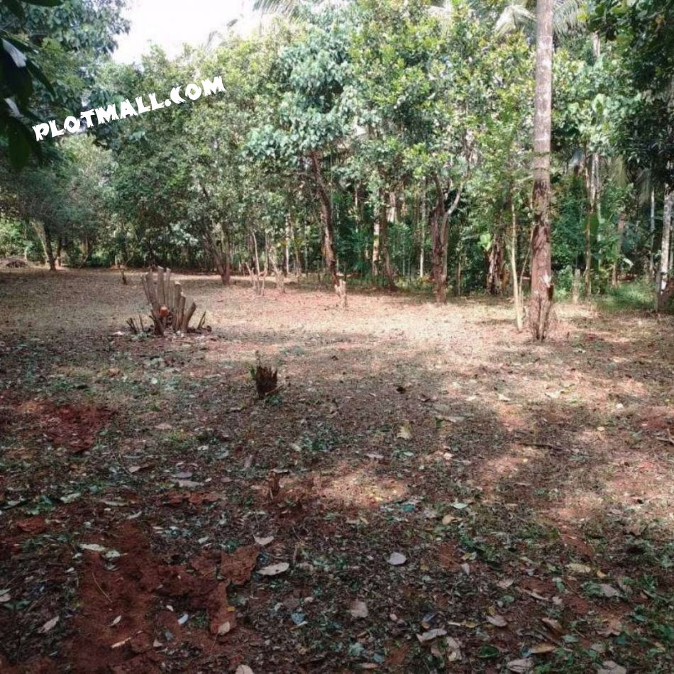 Residential Land For Sale