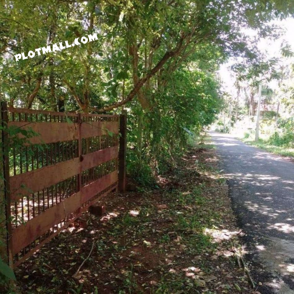 Residential Land For Sale