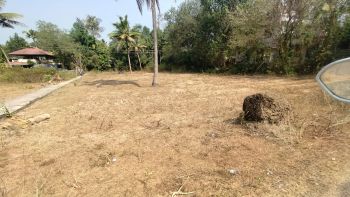 20 Cent Residential Land for Sale at Thathappilly Budget - 450000 Cent