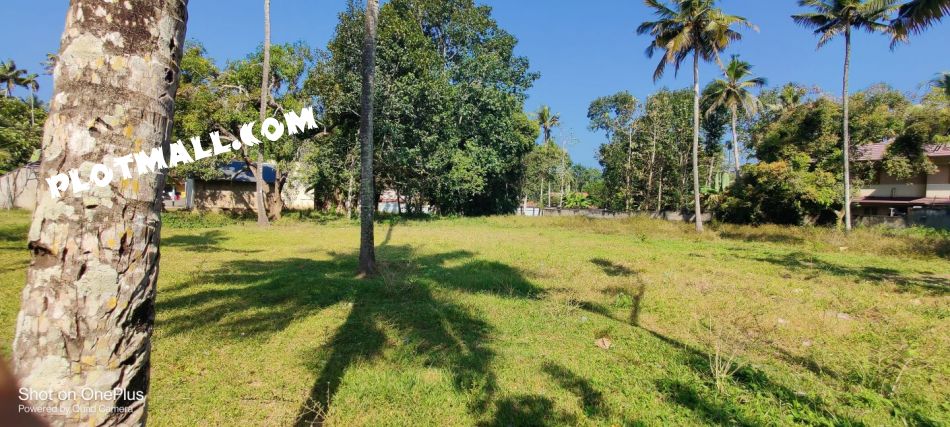 Residential Land For Sale