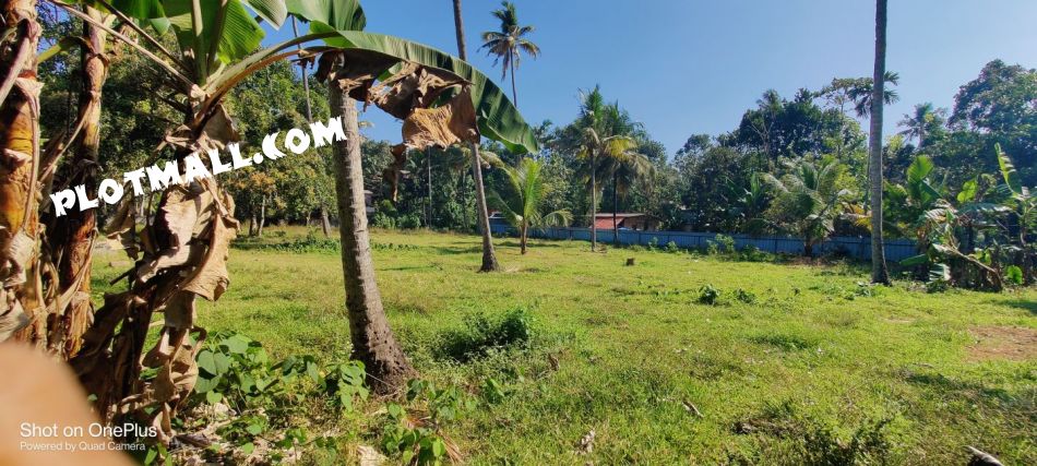 Residential Land For Sale