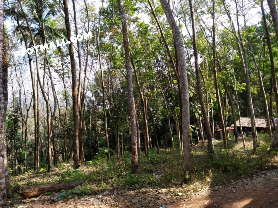 Residential Land For Sale