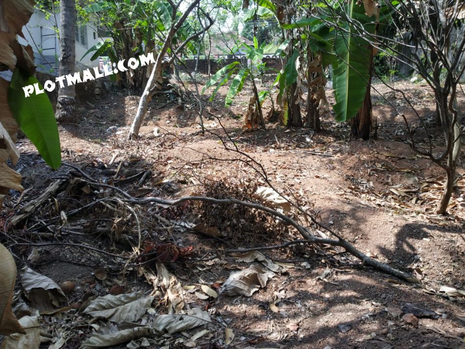 Residential Land For Sale