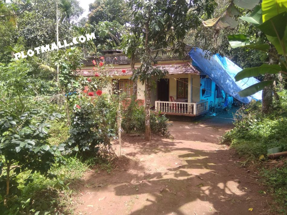 46 Cent Residential Land for Sale at Thokkupara Budget - 14000000 Total