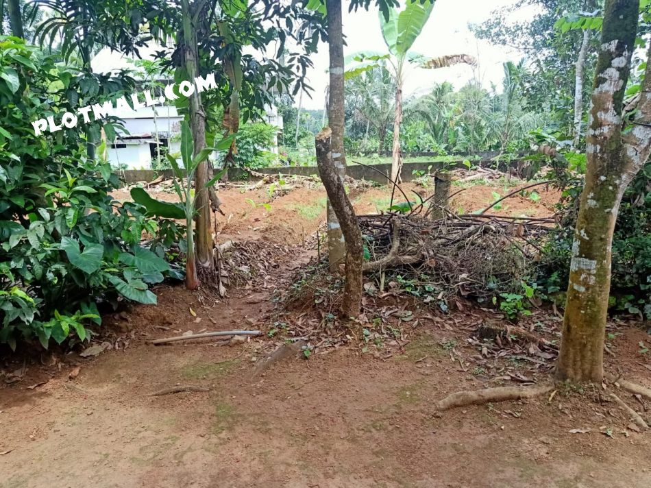 Residential Land For Sale