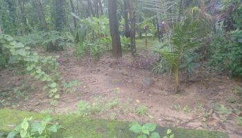 6 Cent Residential Land for Sale at Vakkad Budget - 1400000 Total