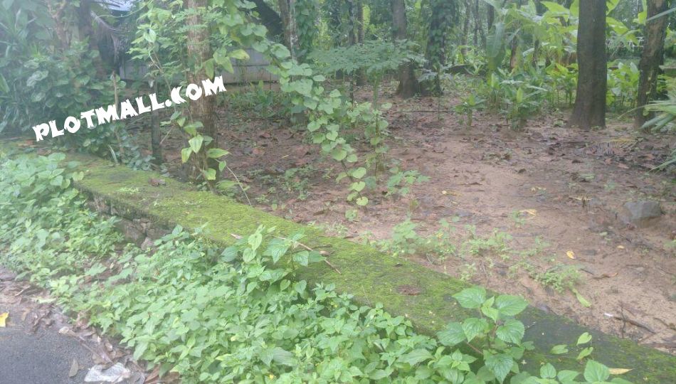 Residential Land For Sale