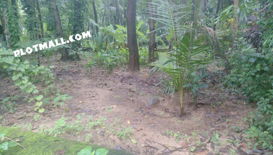 Residential Land For Sale