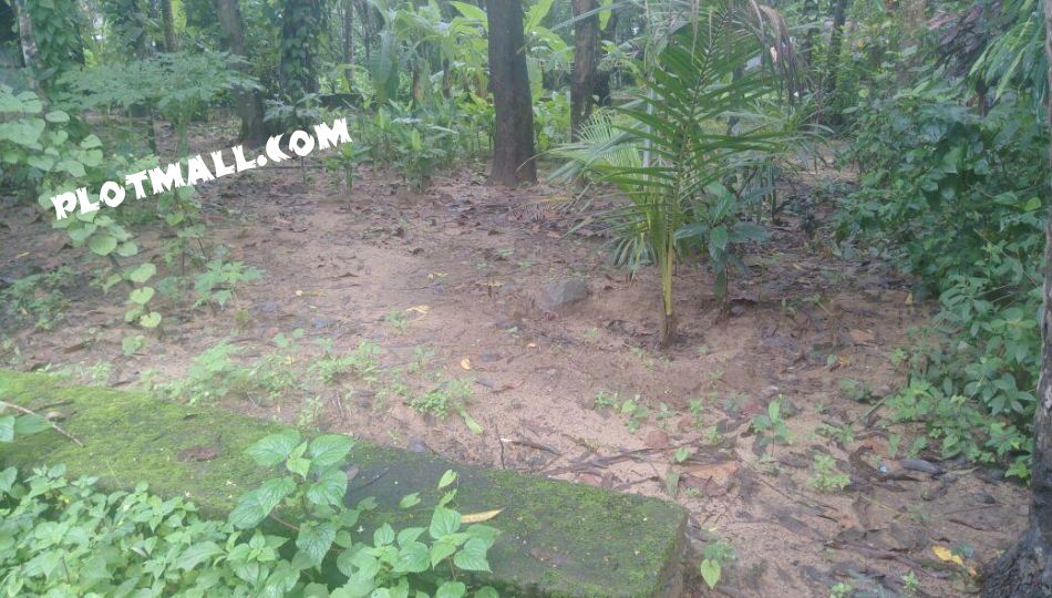Residential Land For Sale