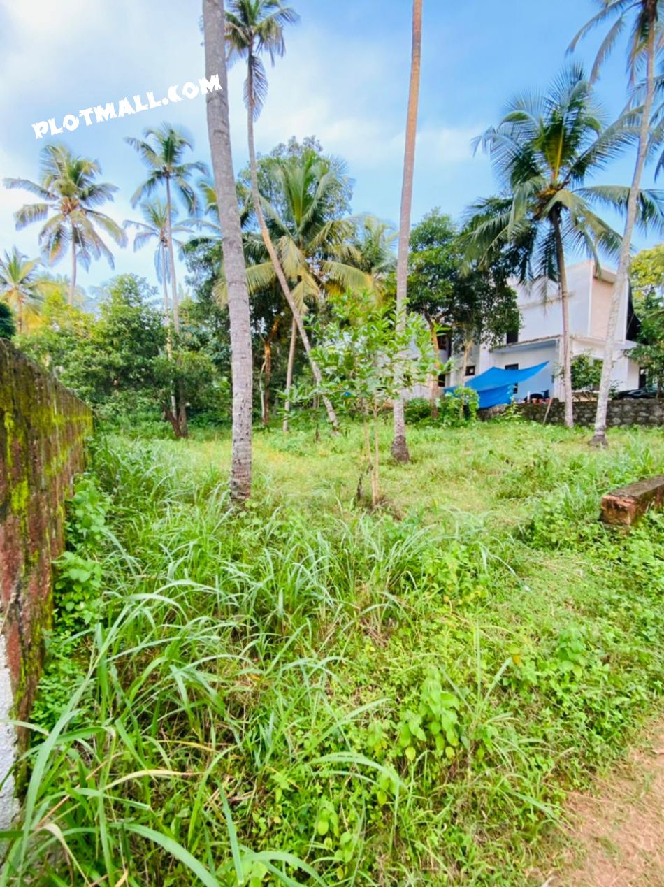 Residential Land For Sale