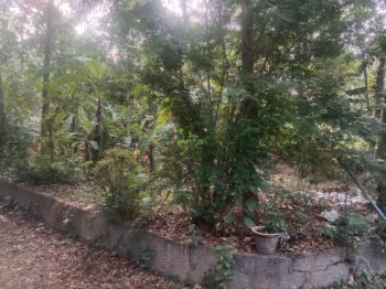 4 Cent Residential Land for Sale at Kozhikode Budget - 600000 Cent