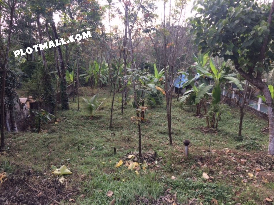 Residential Land For Sale