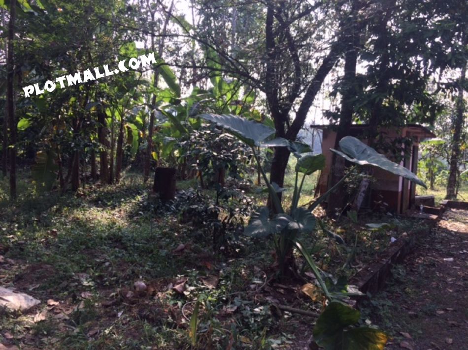 Residential Land For Sale