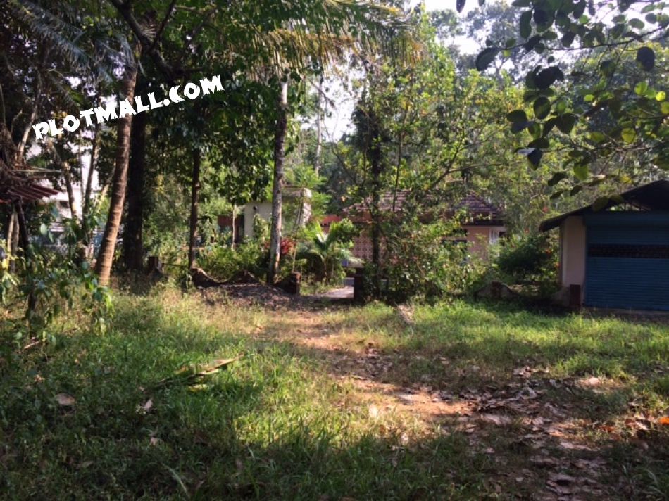 Residential Land For Sale