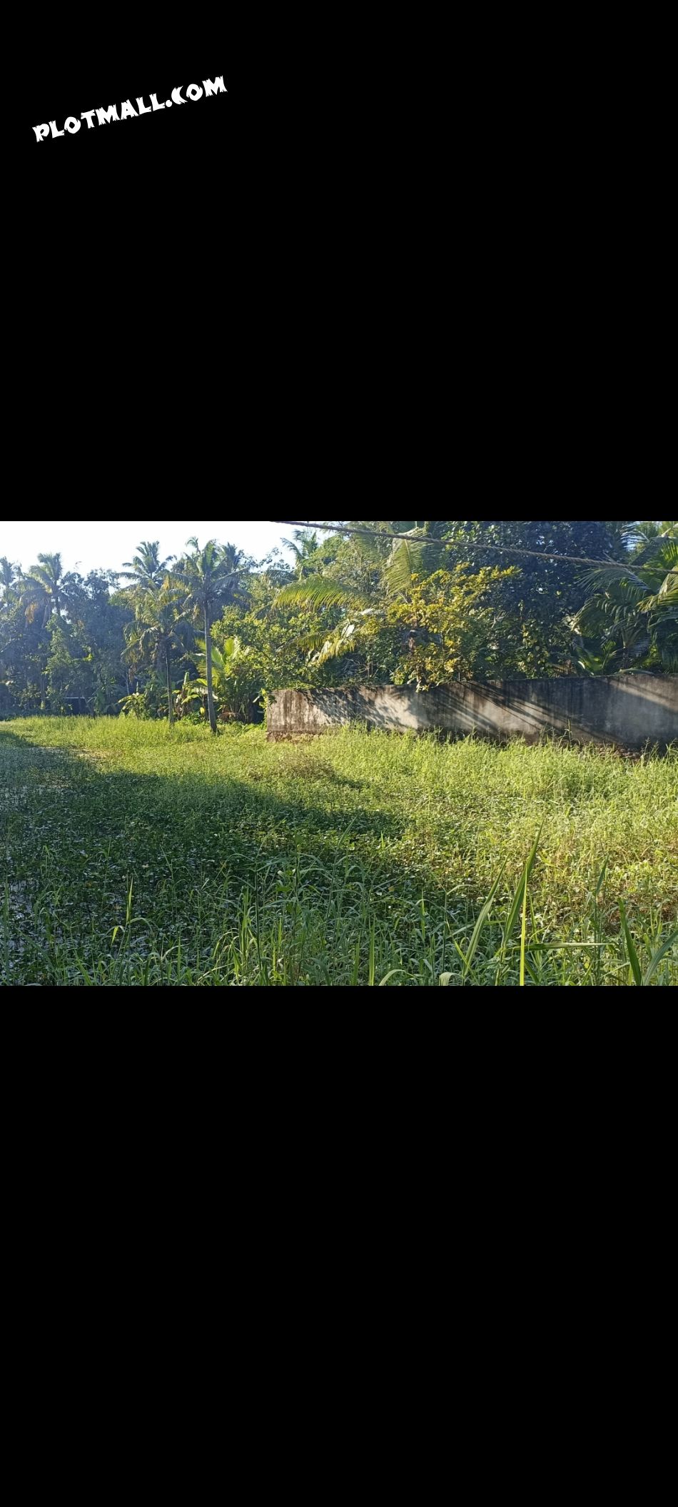 30 Cents Of Well Residential Land 