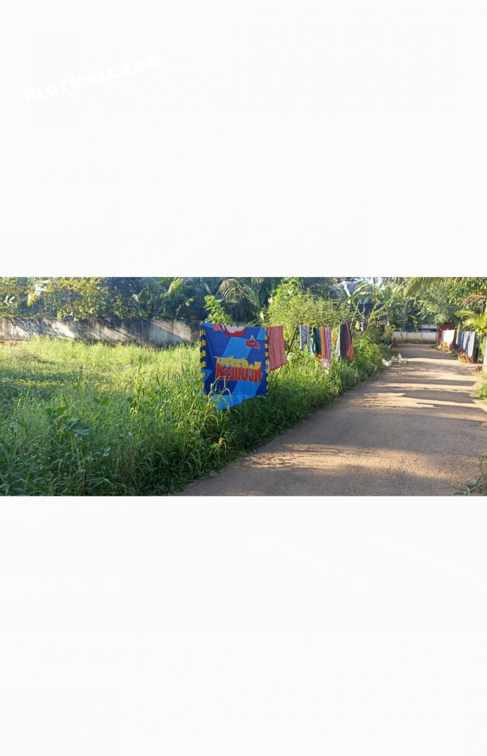 Frontage Tarred Road