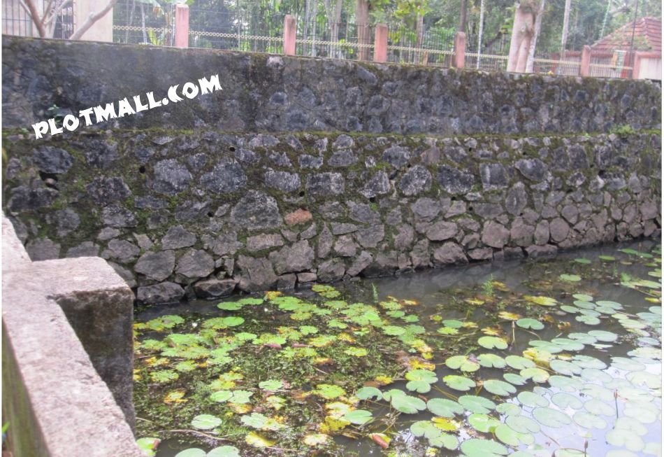 Pond Within The Property- Good Fresh Groundwater 