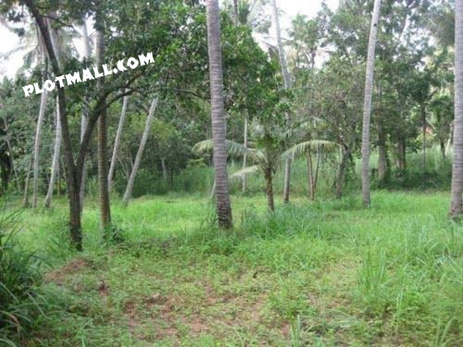 Residential Land For Sale