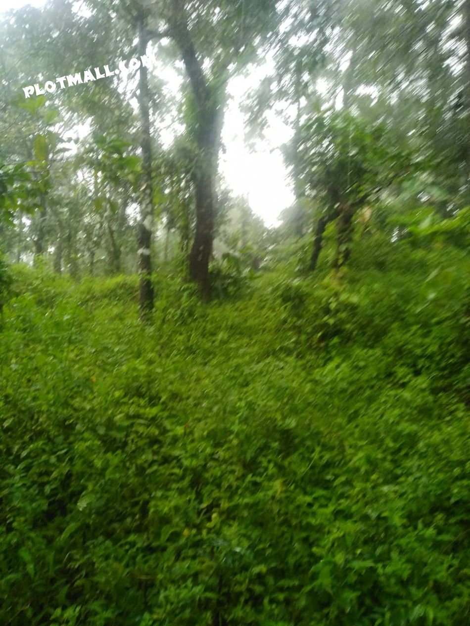 Residential Land For Sale