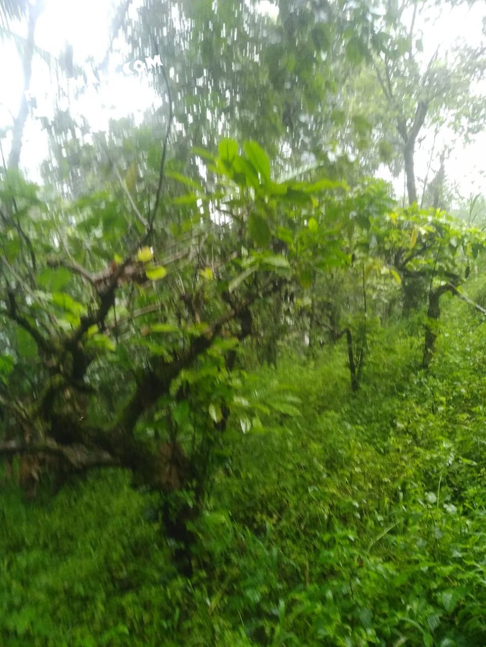 Residential Land For Sale