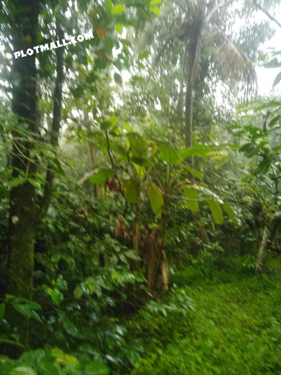Residential Land For Sale